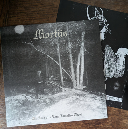 The Song of a Long Forgotten Ghost LP