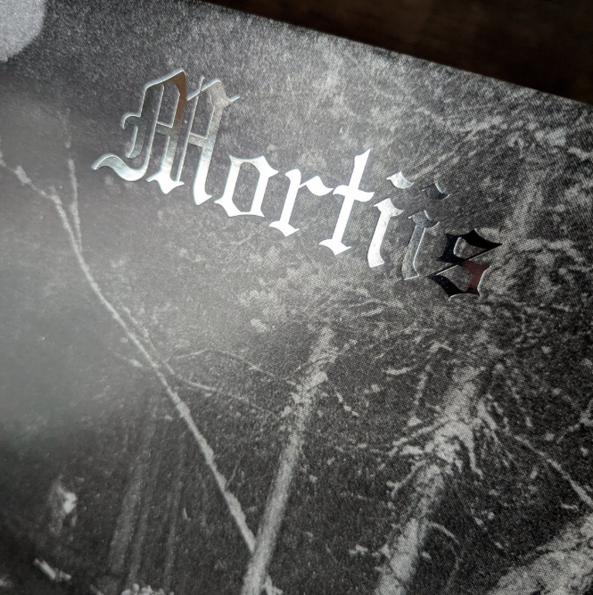 The Song of a Long Forgotten Ghost LP