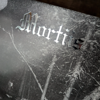 The Song of a Long Forgotten Ghost LP